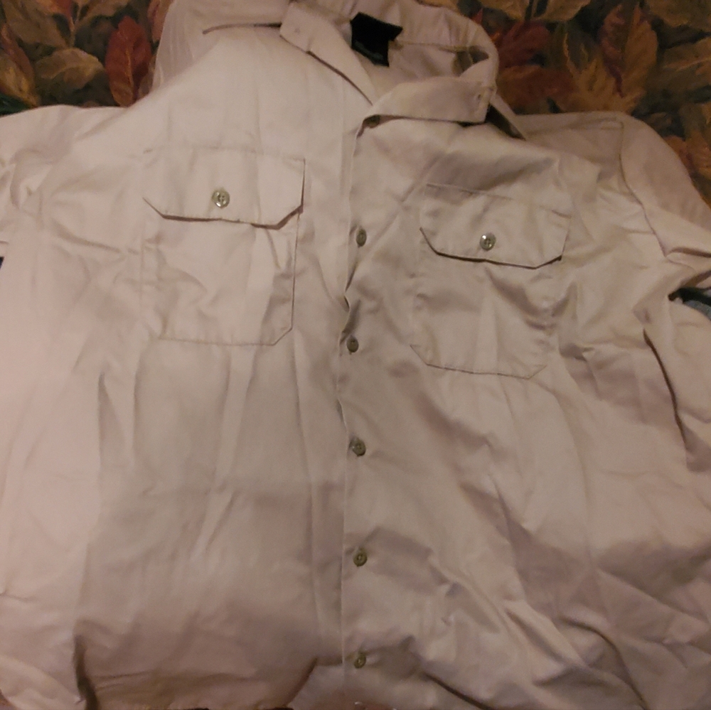 Dickies shirt